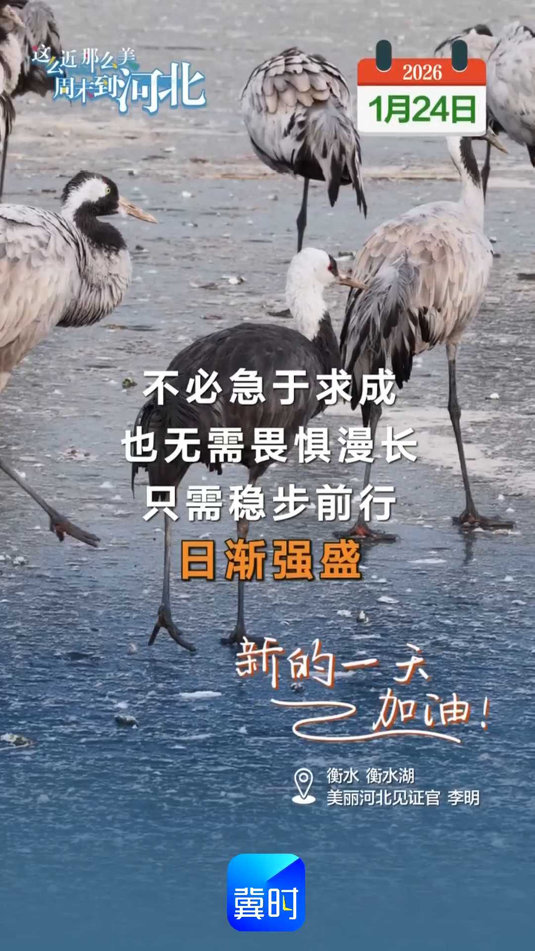 2026年1月24日 星期六 农历腊月初六｜不必急于求成，也无需畏惧漫长，只需稳步前行日渐强盛！