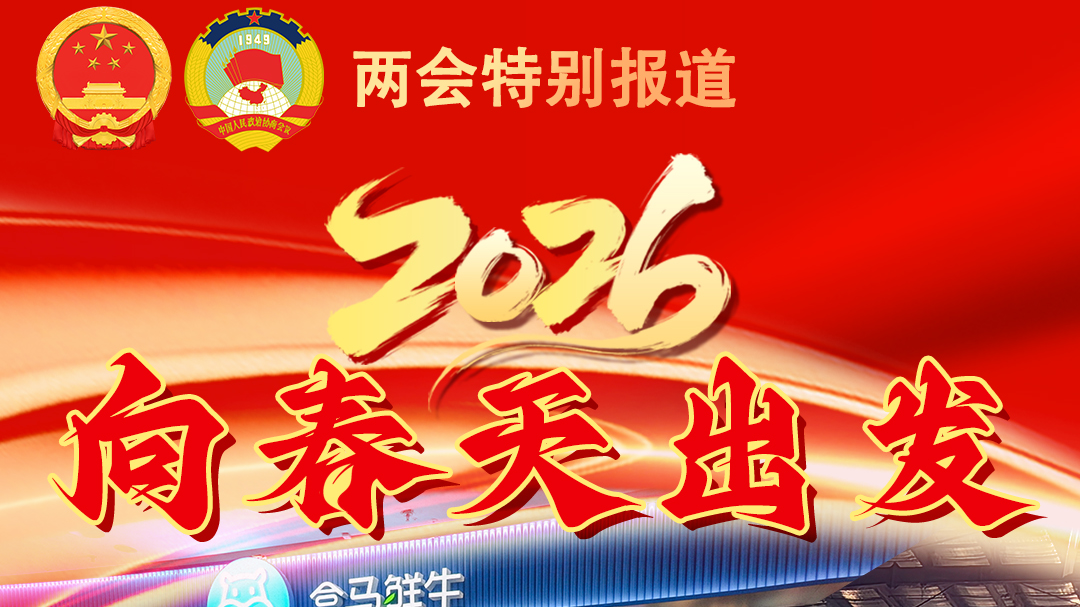 2026向春天出发 | 双轮驱动 “解锁”河北内需潜力
