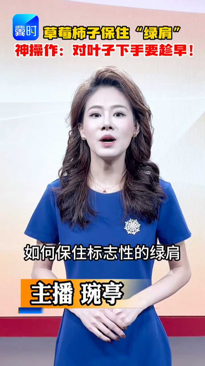 【专家在线】划重点｜草莓柿子保住“绿肩”的神操作：对叶子下手要趁早！这套打叶狠活，专为风味而来