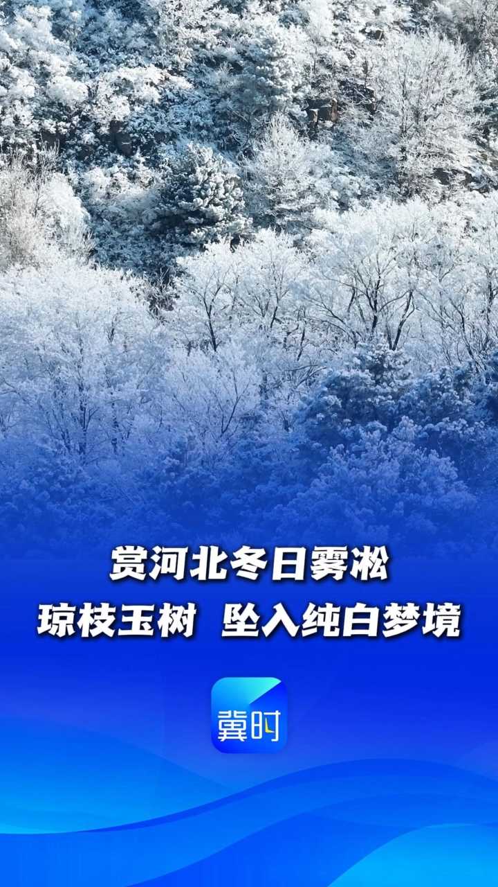 赏河北冬日雾凇：琼枝玉树，坠入纯白梦境~丨这么近，那么美，周末到河北