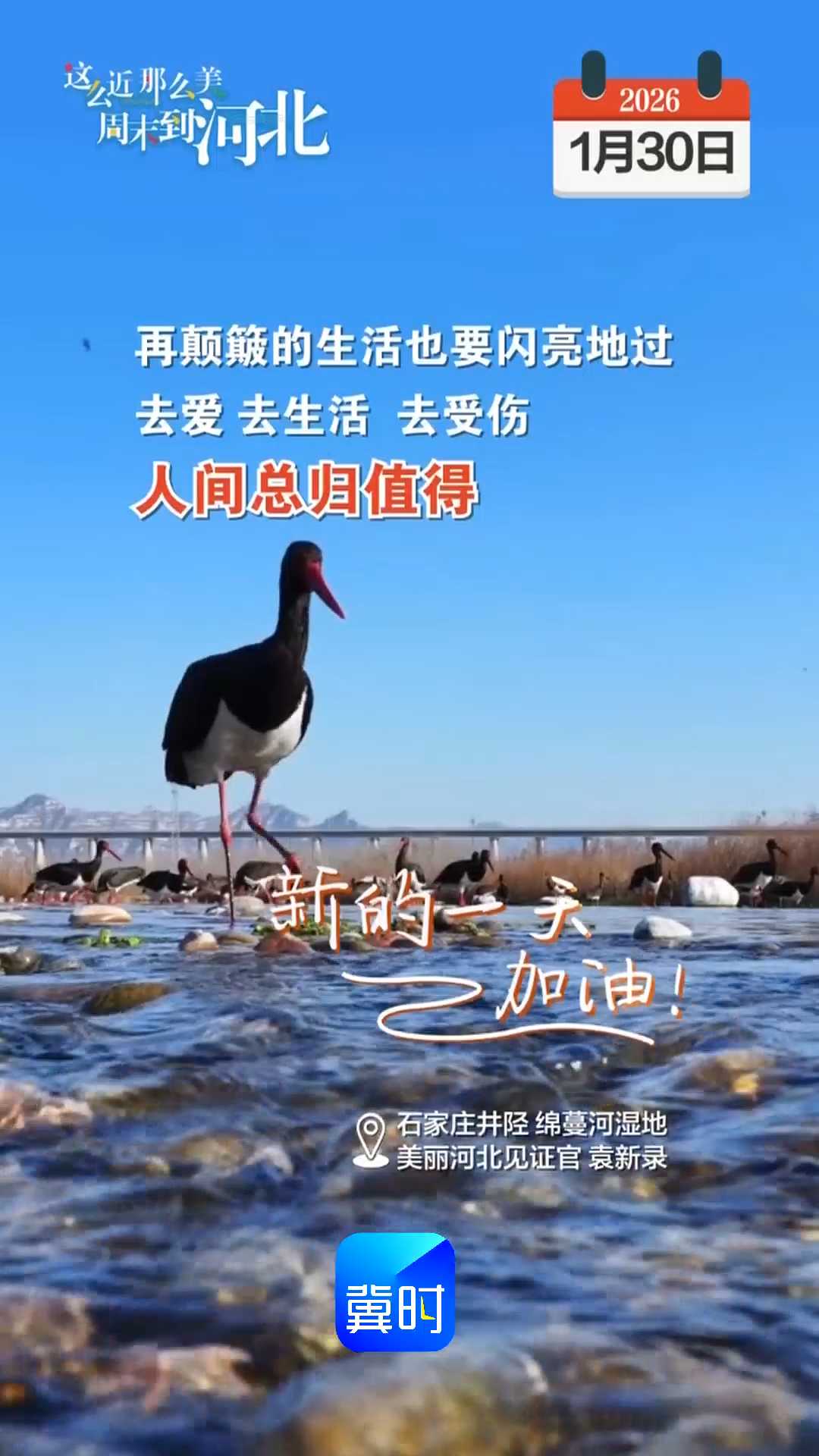 2026年1月30日 星期五 农历腊月十二｜再颠簸的生活，也要闪亮地过，去爱 去生活 去受伤，人间总归值得！新的一天，加油！