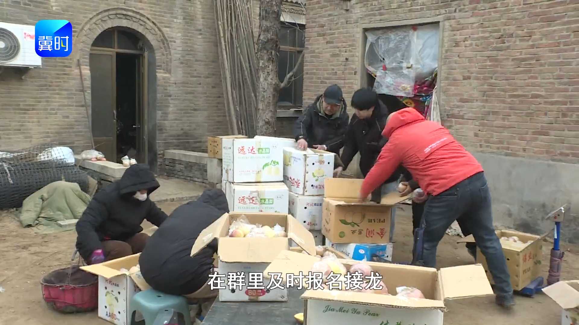 【一键开卖】保定安国：观众企业暖心订购 苹果销路打开