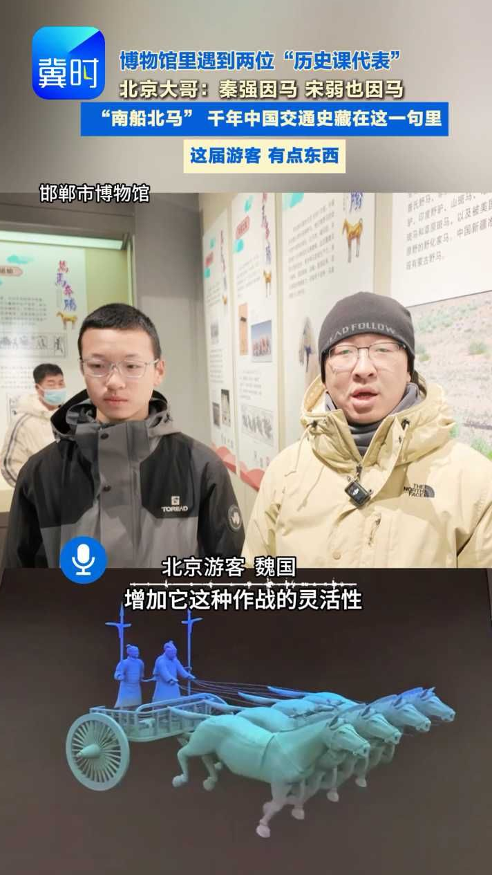 这届游客，才是展览最好的“解说词”#邯郸市博物馆 #马文化 #中国马文化展 #邯郸打卡