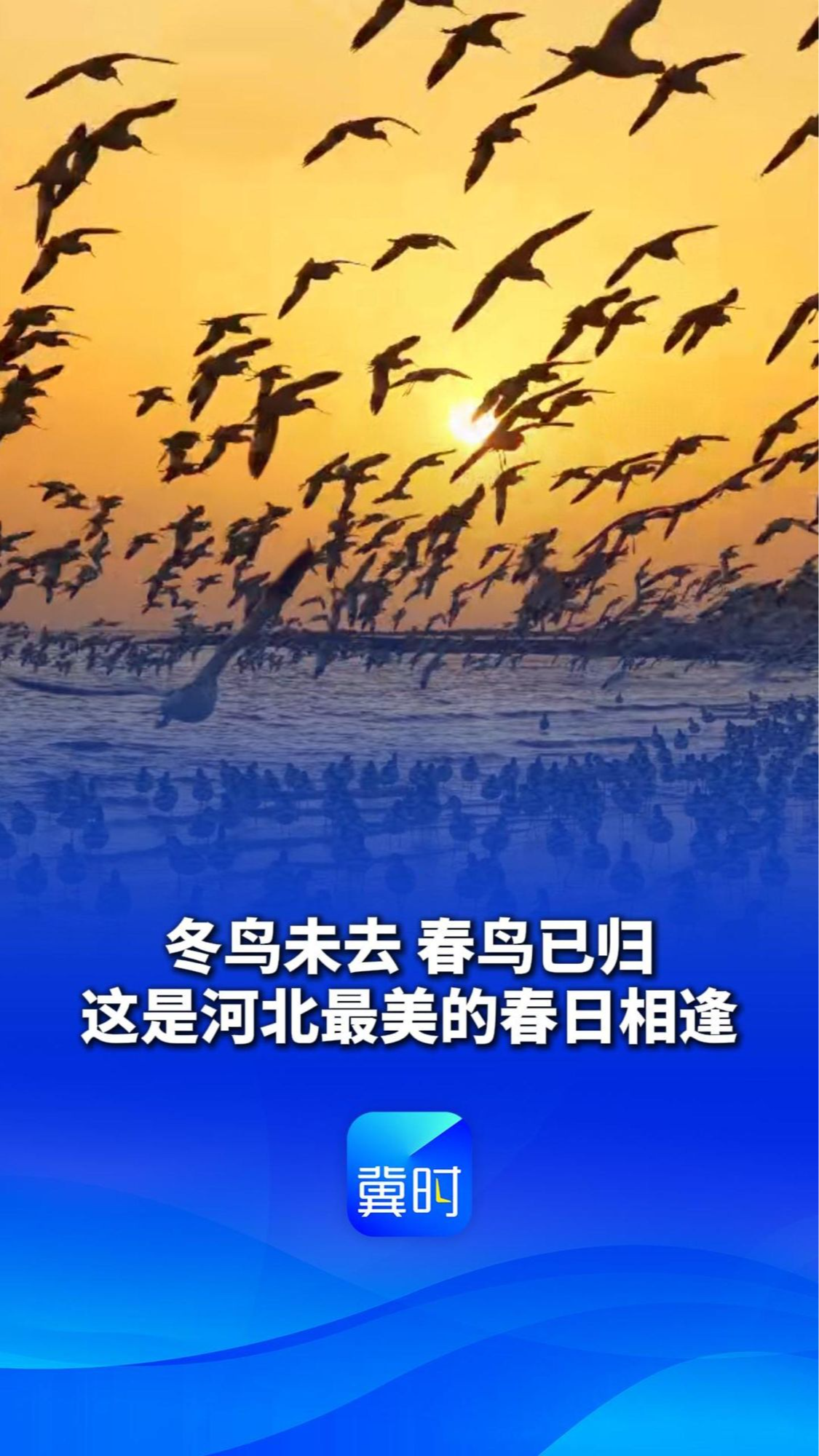 冬鸟未去，春鸟已归，这是河北最美的春日相逢丨这么近，那么美，周末到河北