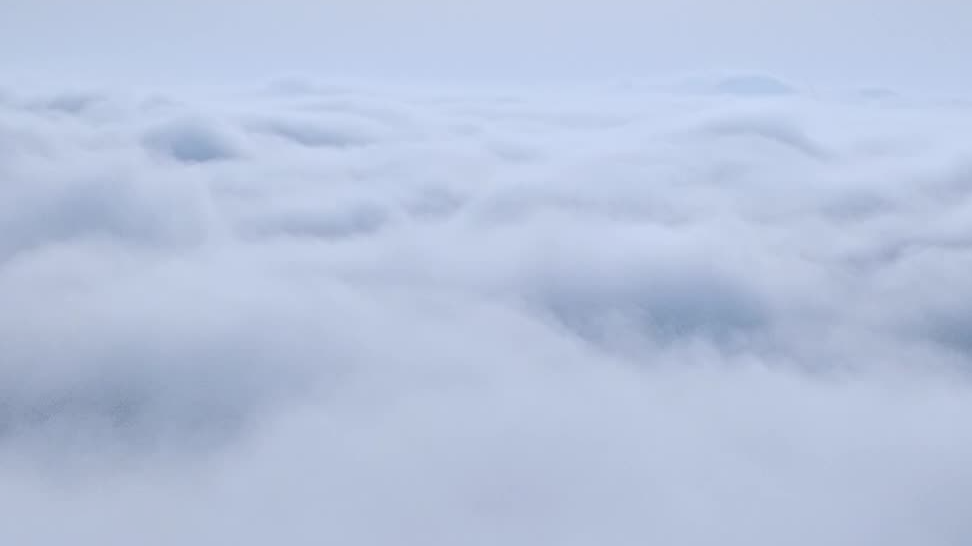 玉树琼花看康保