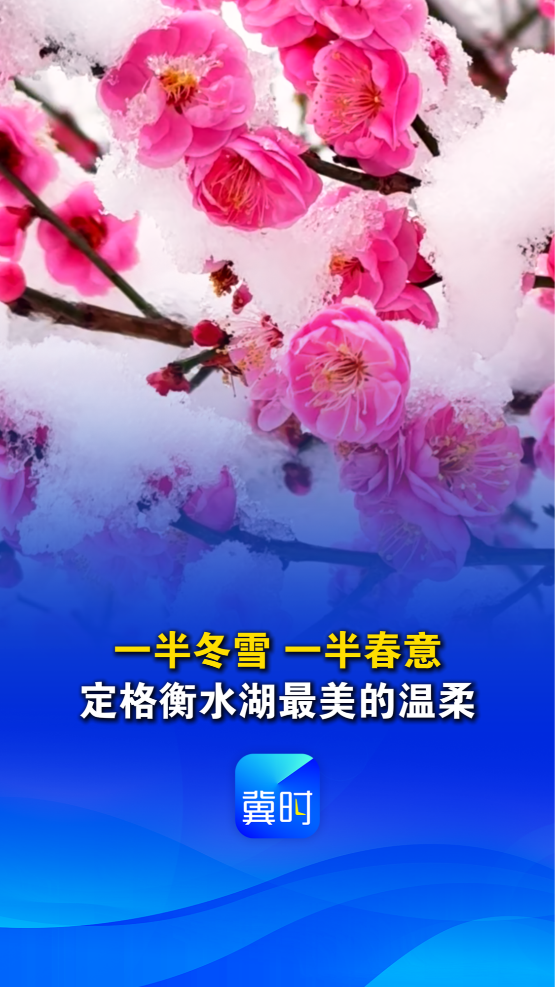 一半冬雪，一半春意，定格衡水湖最美的温柔丨这么近，那么美，周末到河北