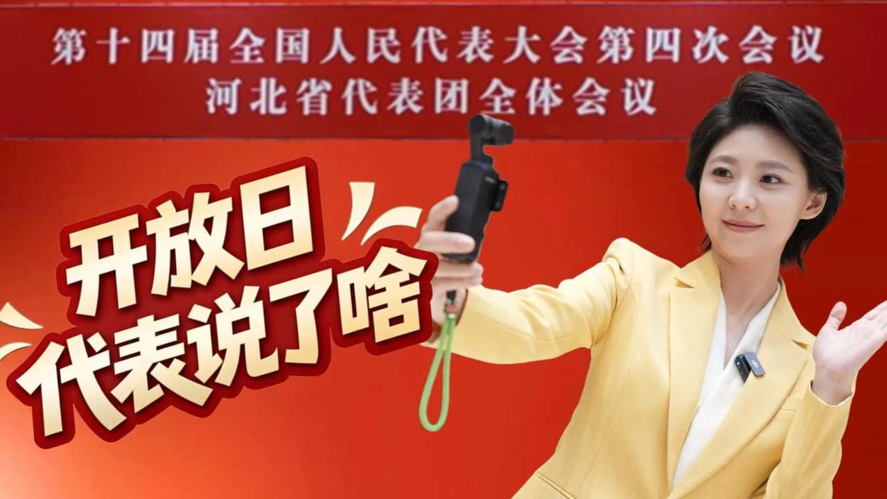 开放日 代表说了啥？