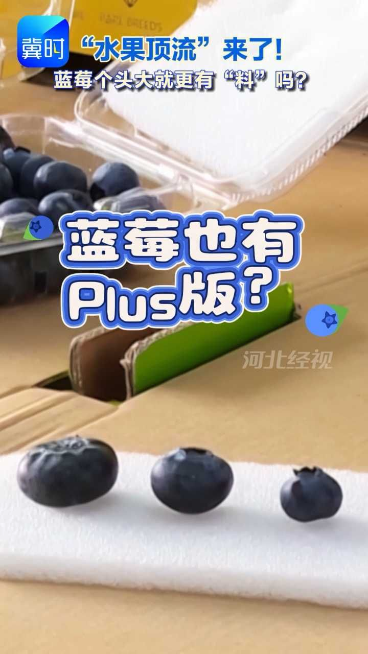 蓝莓也有“Plus版”？记者实探水果市场 “超大果”蓝莓正当红 谁是花青素之王？#蓝莓#花青素