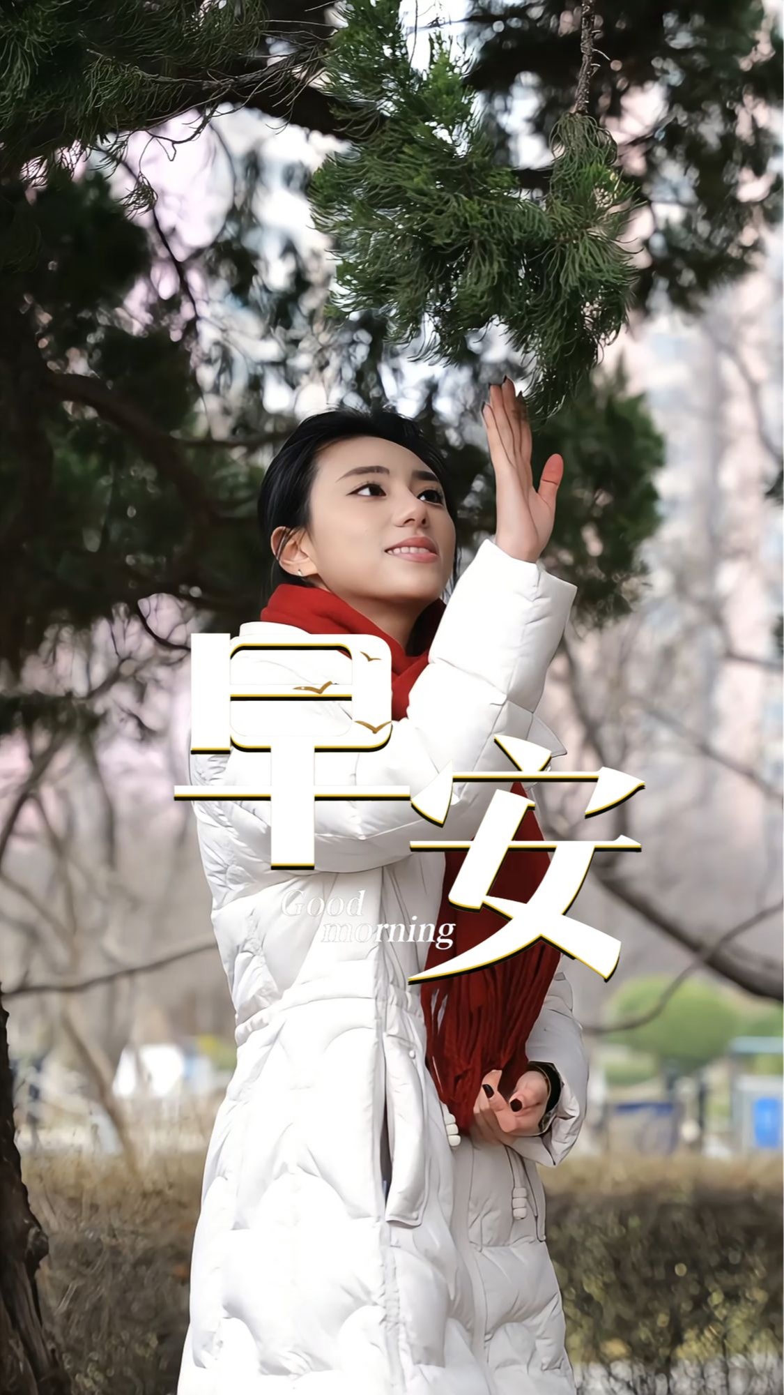 2026年3月17日，早安！枝头新芽舒展，繁花次第绽放，风里都是温柔与希望。以热爱奔赴山海，用努力浇灌梦想，愿你心怀暖阳，不负春光，每一份坚持都迎来繁花盛开。