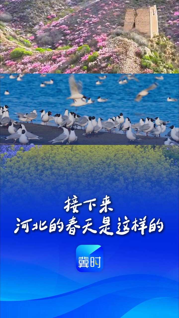 接下来，河北的春天是这样的……丨这么近，那么美，周末到河北