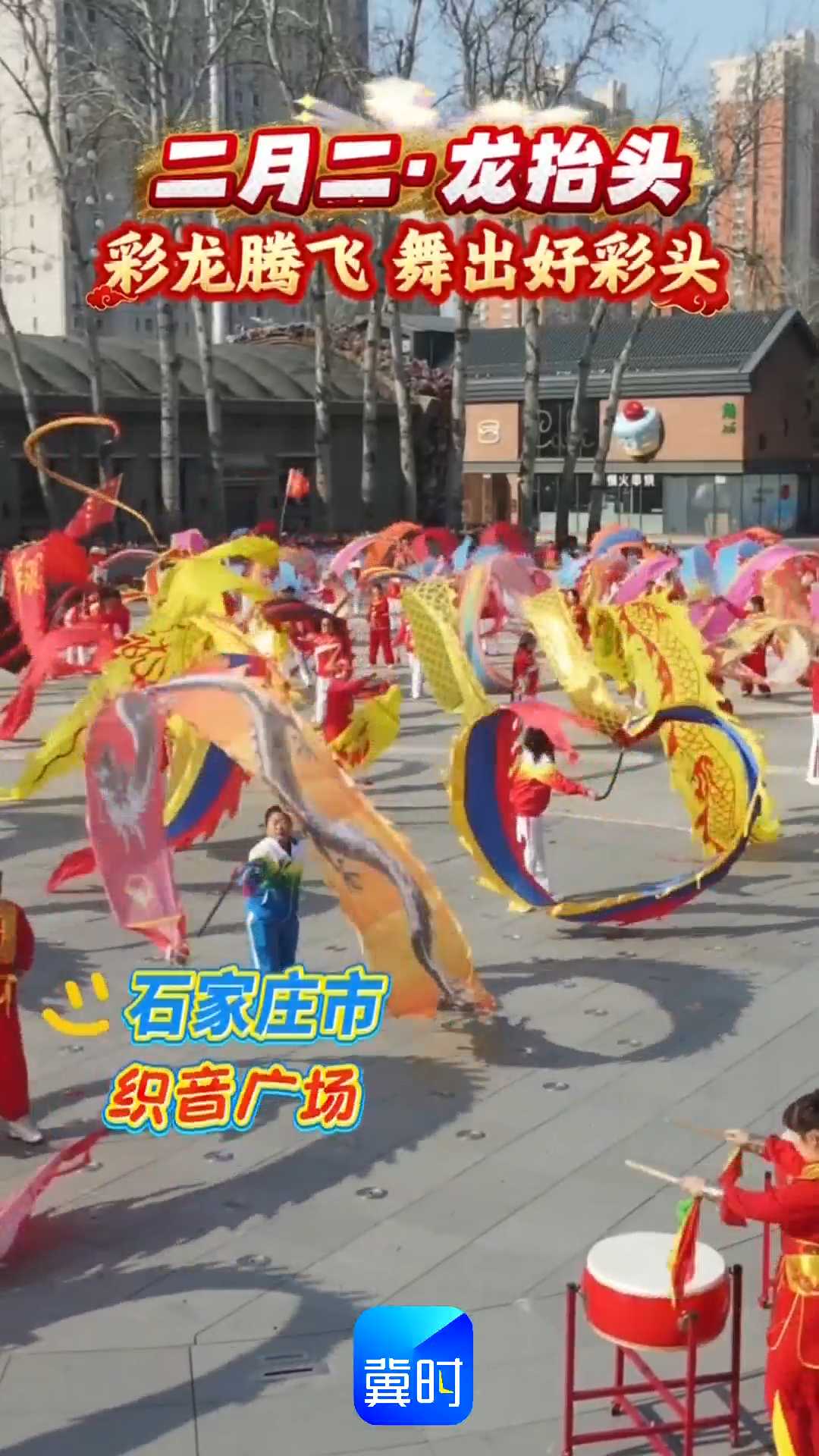 石家庄市织音广场——二月二·龙抬头，彩龙腾飞舞出好彩头！