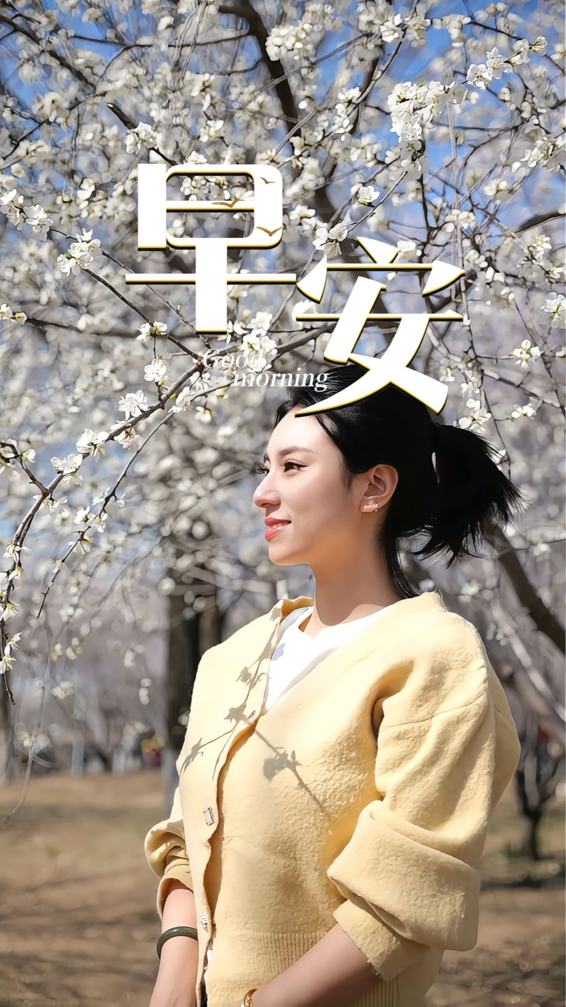 2026年3月23日，早安！春风拂面，生机盎然。娲皇宫悬于峭壁，《女娲补天》的神话照进现实。铁索吊楼，华夏祖庙，承载着千年的信仰与智慧。跟着课本游河北，来娲皇宫，赴一场千年奔赴的文化之约。