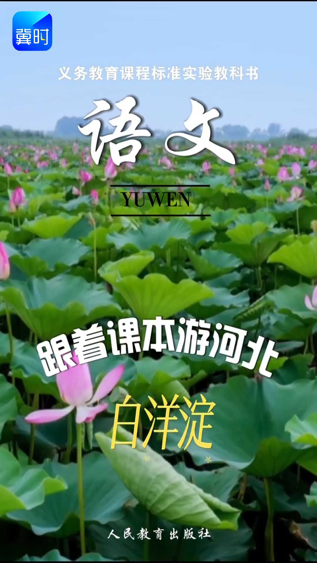 跟着课本游河北——白洋淀#2026跟着课本游河北