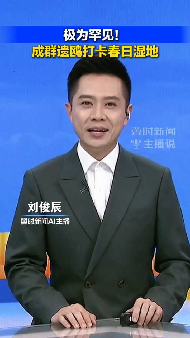 极为罕见！成群遗鸥打卡春日湿地丨冀时新闻主播说（视频拍摄：美丽河北见证官 秋泓）