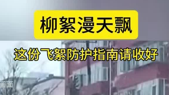 柳絮漫天飘！这份飞絮防护指南请收好