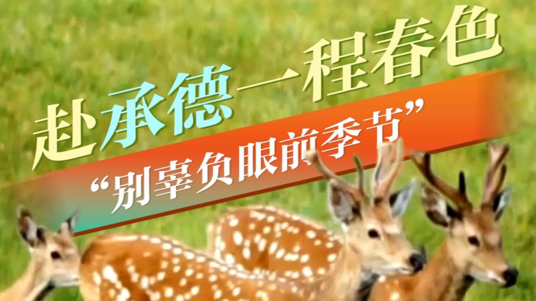 倾城之约 | 赴承德一程春色