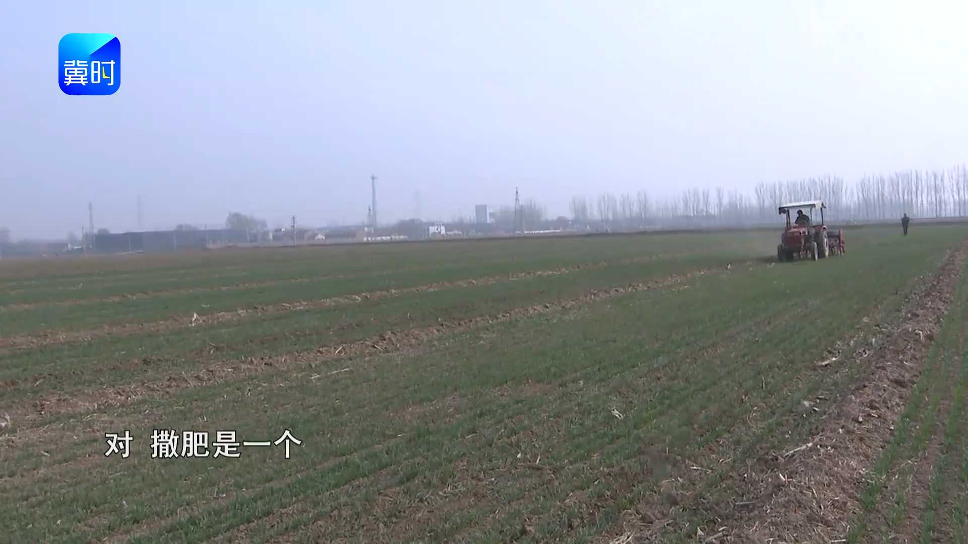 【专家在线】别再撒肥了！埋土里才是真省劲：麦田播肥机