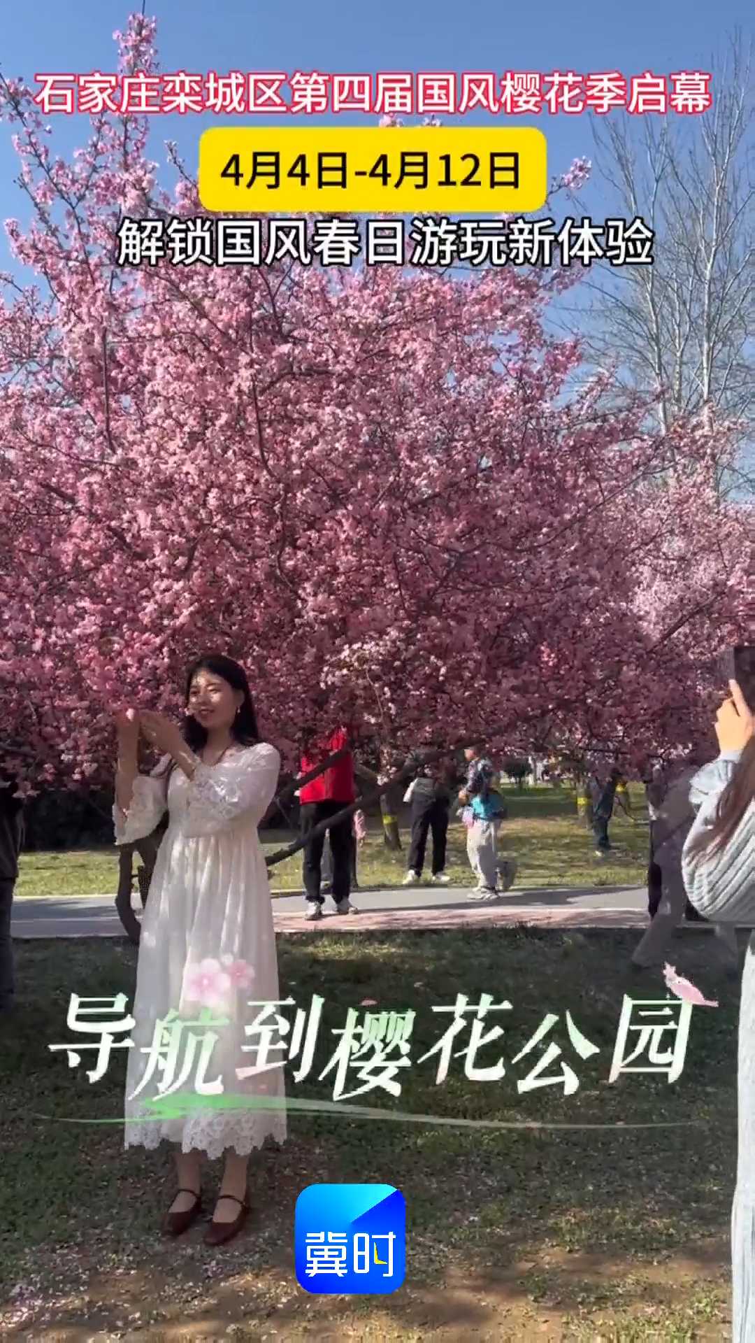 石家庄栾城区第四届国风樱花季启幕，4月4日-4月12日，解锁国风春日游玩新体验