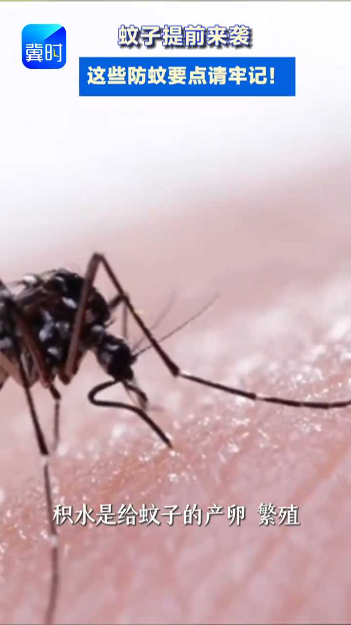 暖冬 ＋ 升温快 ＋ 降水多  蚊子提前 “上岗”我们应该如何预防叮咬 这份防蚊指南请收好  防蚊#冷知识#科普