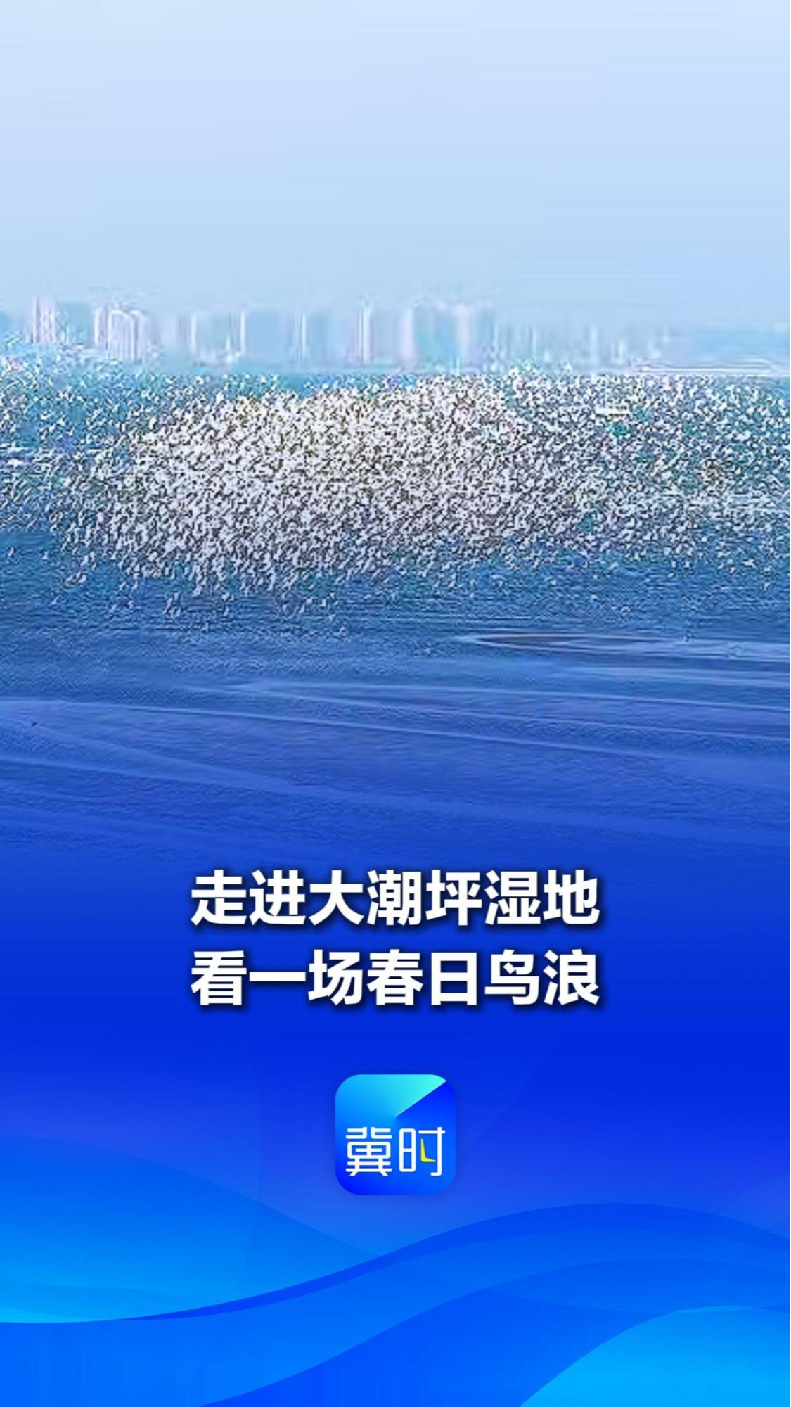 鸟儿的翅膀会说话丨走进大潮坪湿地，看一场春日鸟浪