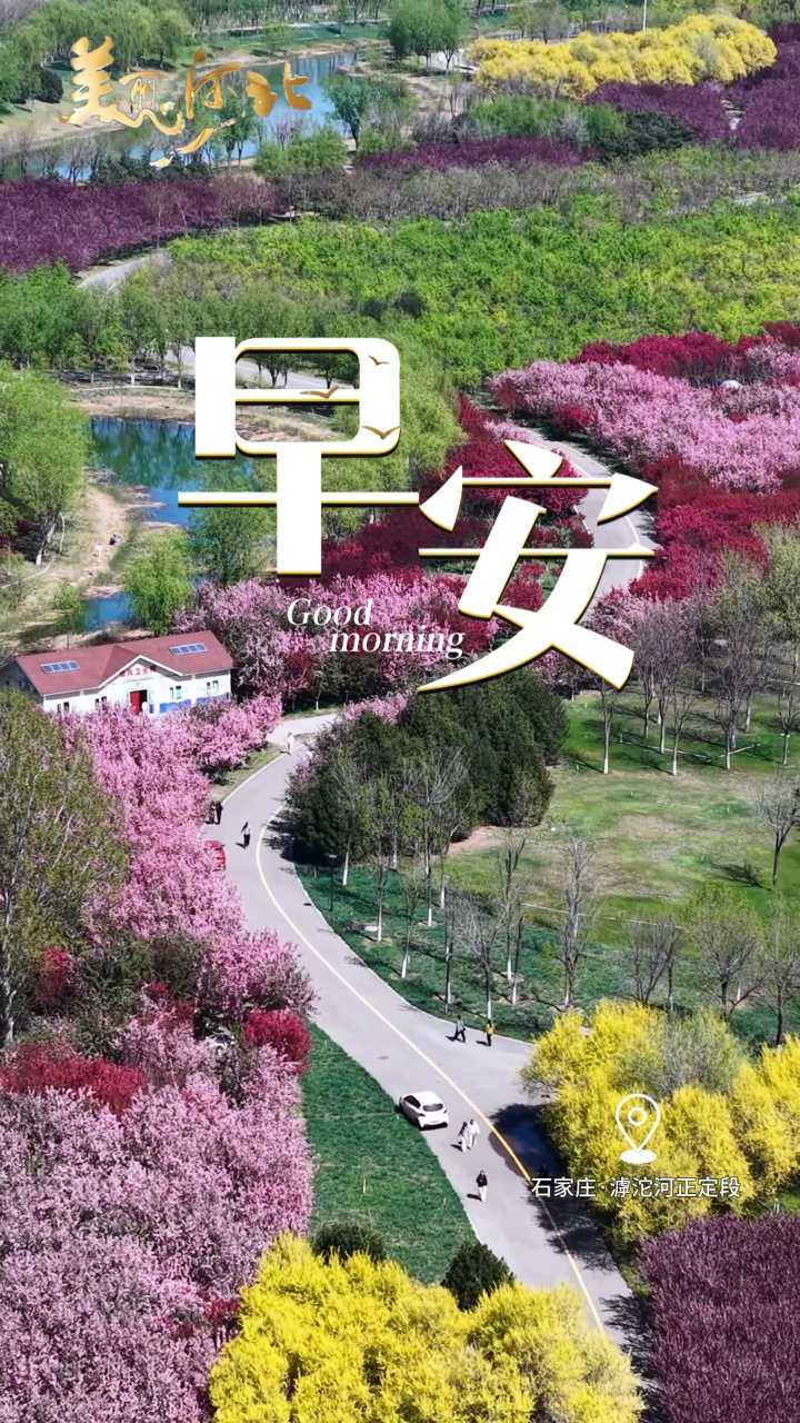 2026年4月14日，早安！万物向阳生长，草木肆意青葱，每一缕微风都带着生机，每一寸阳光都藏着力量。愿你以热爱奔赴山海，以坚持追逐梦想，不负春日好时光！