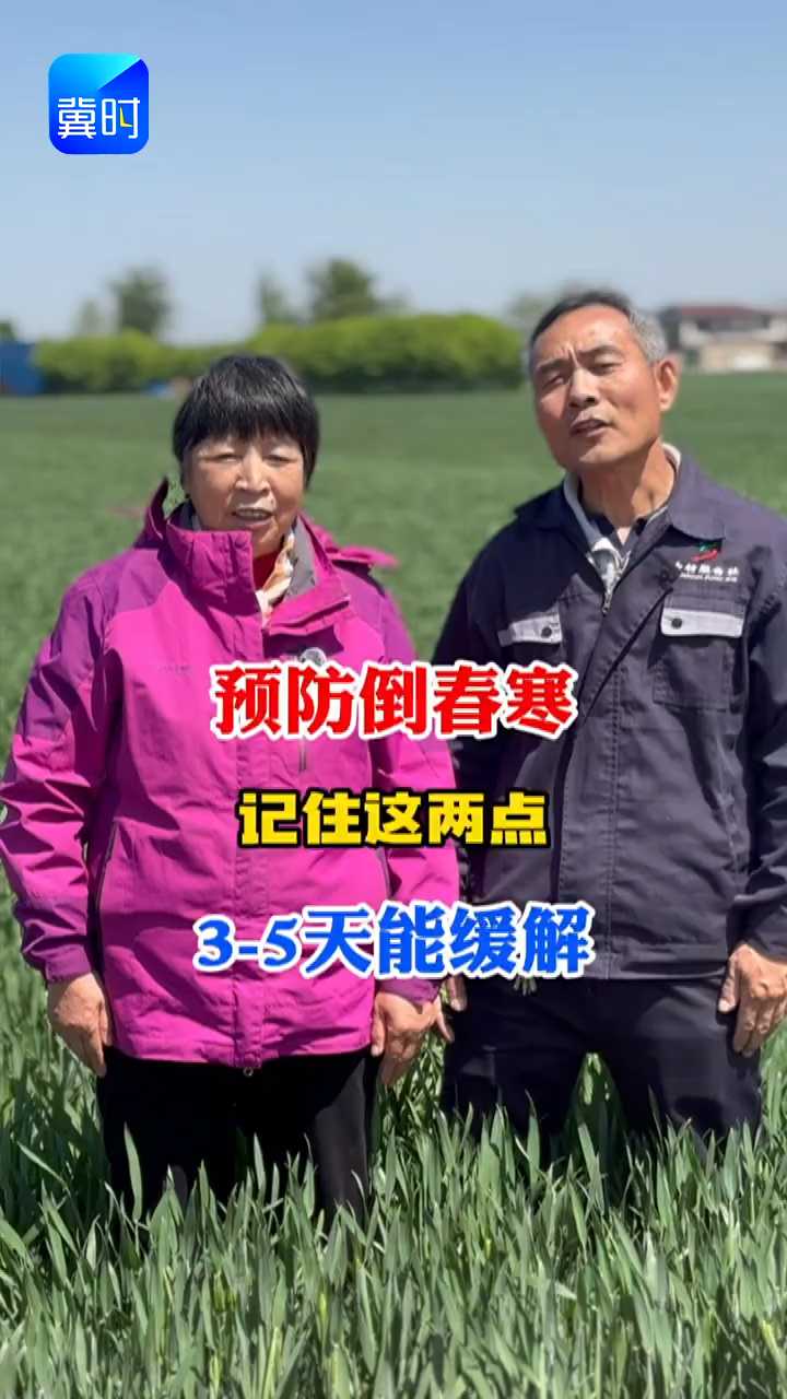 【专家在线】小麦预防倒春寒，记住这两点！3-5天能缓解