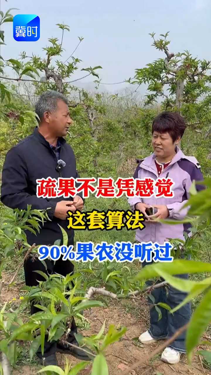 【专家在线】疏果不是凭感觉！这套算法，90%果农没听过