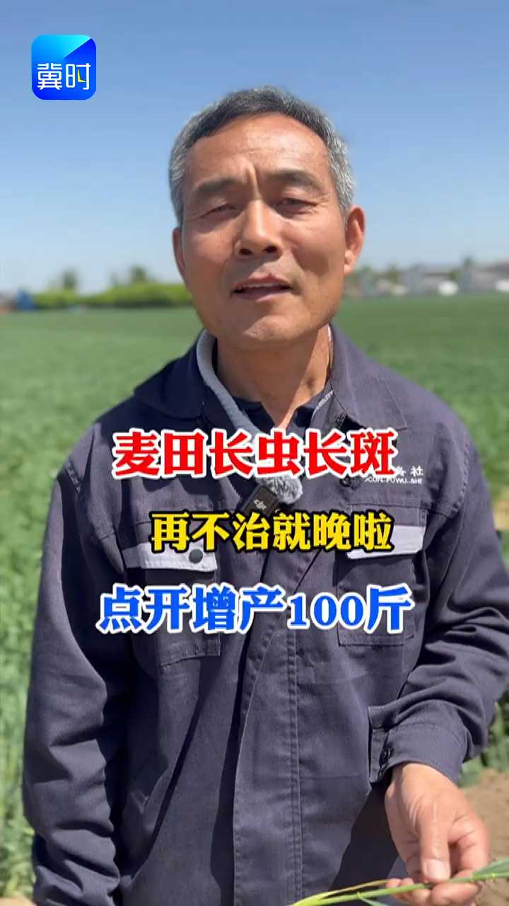 麦田长虫长斑，再不治就晚啦！点开增产100斤