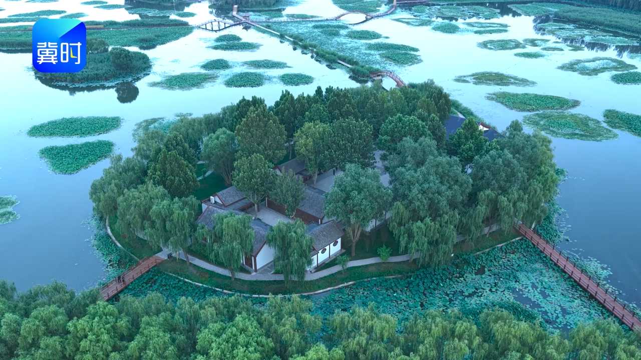 倾城之约 共读时光丨孙犁和他的“荷花淀”#世界读书日