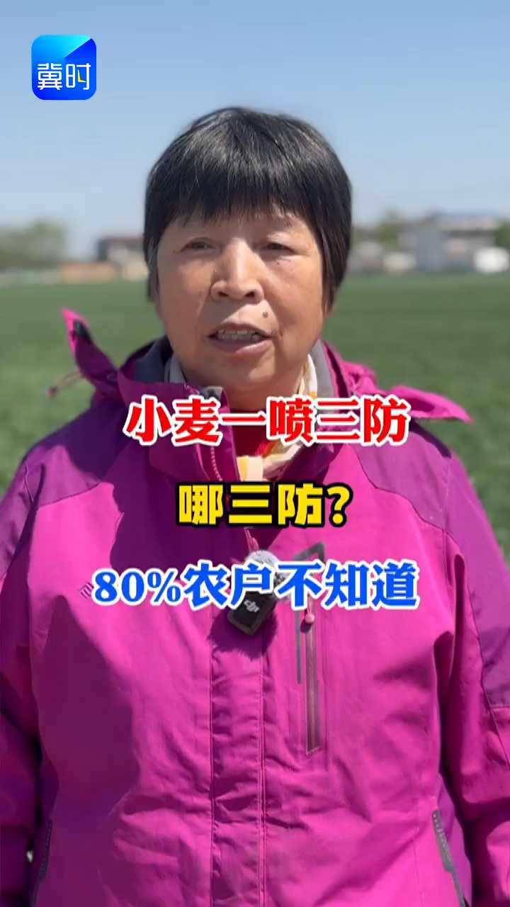 【专家在线】小麦一喷三防，哪三防？80%农户不知道