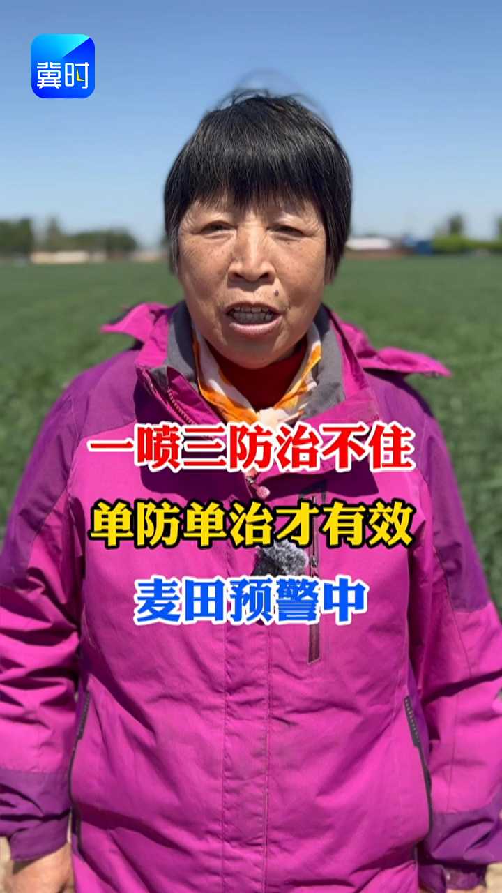 【专家在线】一喷三防治不住，单防单治才有效！麦田预警中