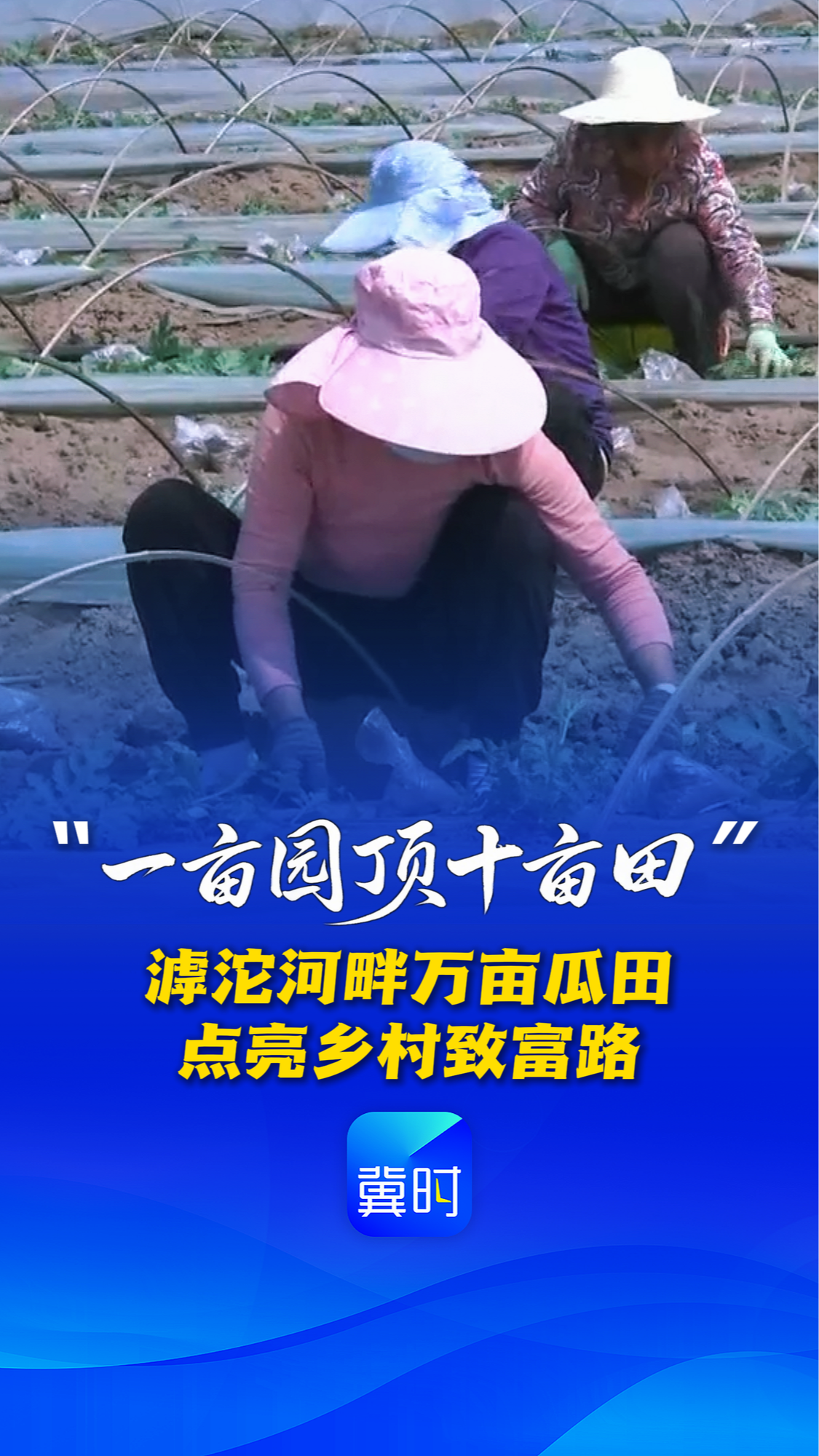 “一亩园顶十亩田”，滹沱河畔万亩瓜田，点亮乡村致富路