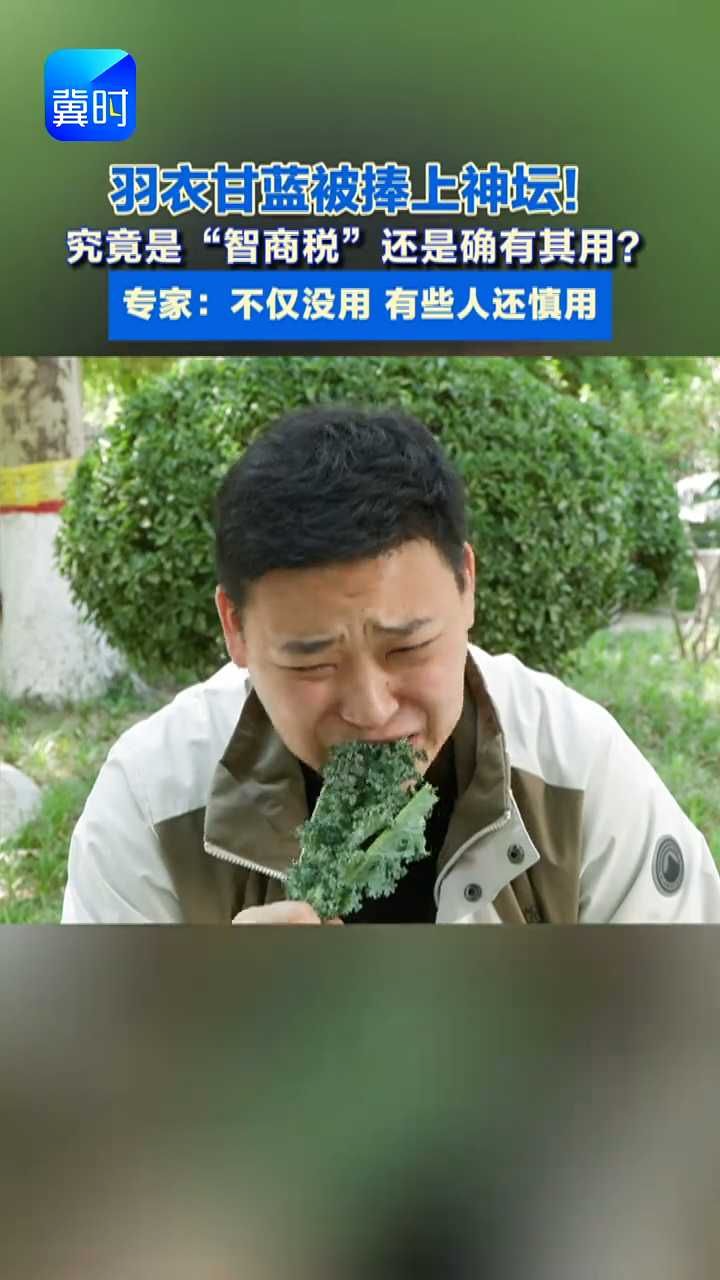 “减肥神菜”羽衣甘蓝究竟是“智商税”还是确有其用 专家：羽衣甘蓝不能随便吃 这几类是禁忌人群#羽衣甘蓝#减肥