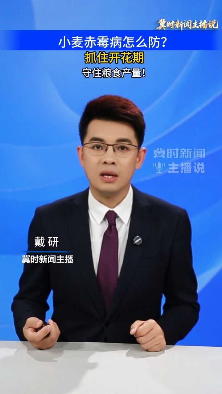 【冀时新闻主播说】小麦赤霉病怎么防？抓住开花期，守住粮食产量！