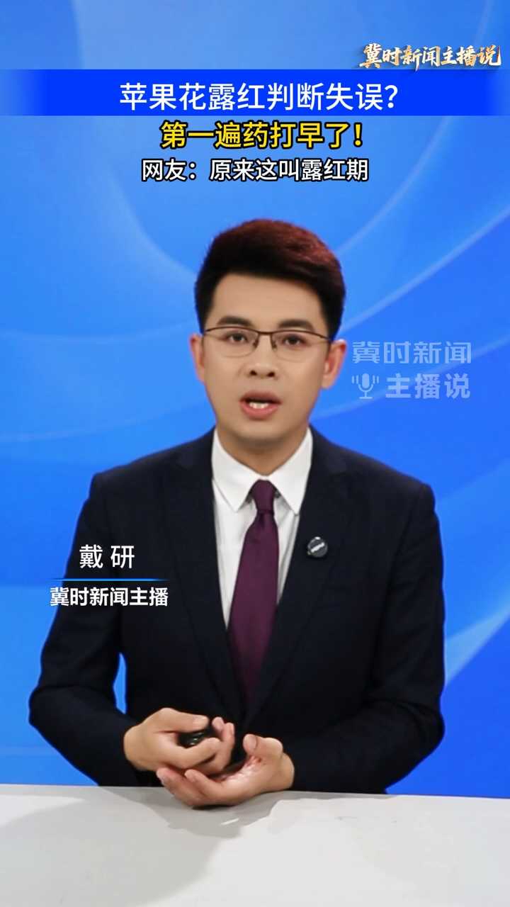 【冀时新闻主播说】苹果花露红判断失误？第一遍药打早了！