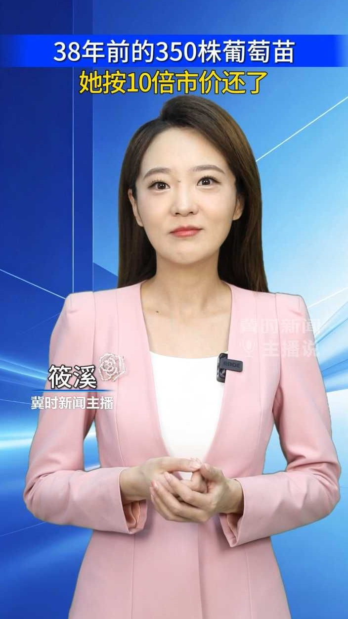 38年前的350株葡萄苗，她按10倍市价还了！｜冀时新闻主播说