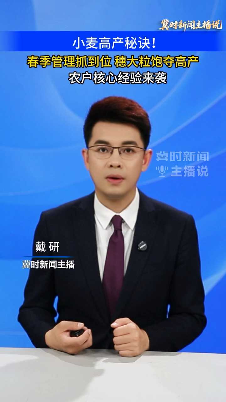 【冀时新闻主播说】小麦高产秘诀！春季管理抓到位，穗大粒饱夺高产