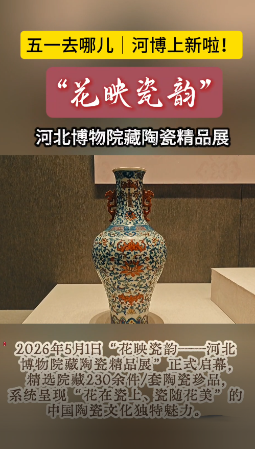 五一去哪儿｜河北博物院230余件“永不凋谢的花”惊艳绽放 超半数为首次亮相#五一#假期#河北博物院#石家庄