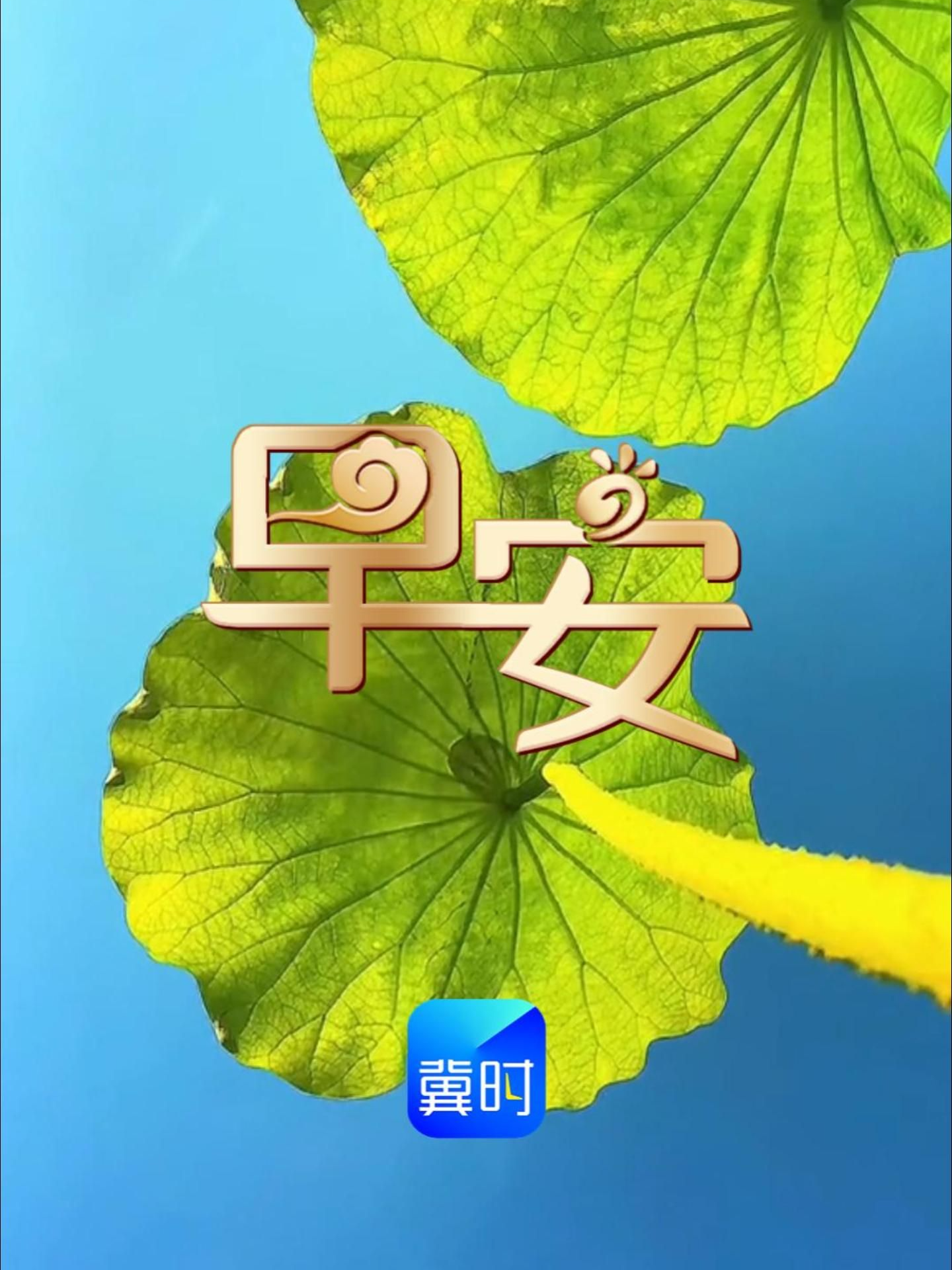 恰逢立夏时节，日光慢慢温柔拉长，和春天好好告别，奔赴热烈鲜活的夏天。愿你晨起有笑意，日子有清欢，平安常相伴，舒心度盛夏，一路向阳，岁岁安然！#早安#立夏
