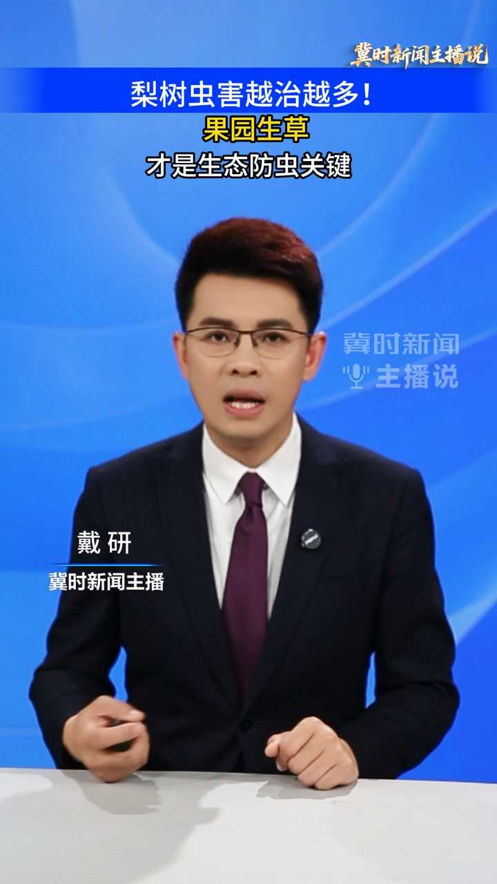 【冀时新闻主播说】梨树虫害越治越多！果园生草才是生态防虫关键