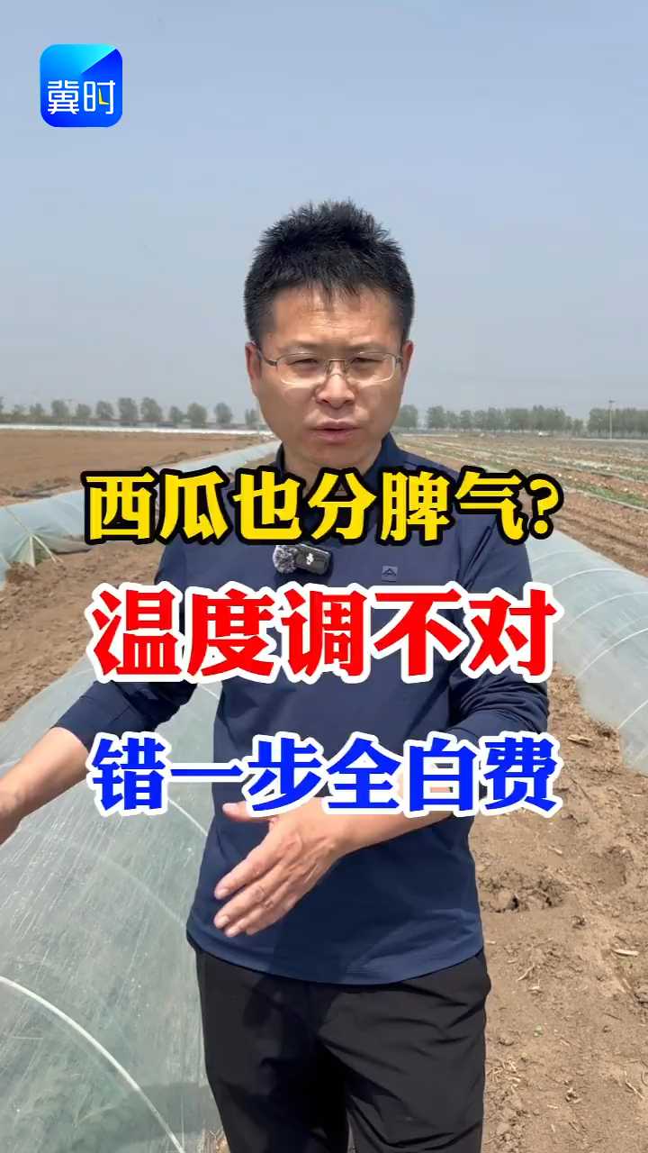 【专家在线】西瓜也分脾气？温度调不对，错一步全白费