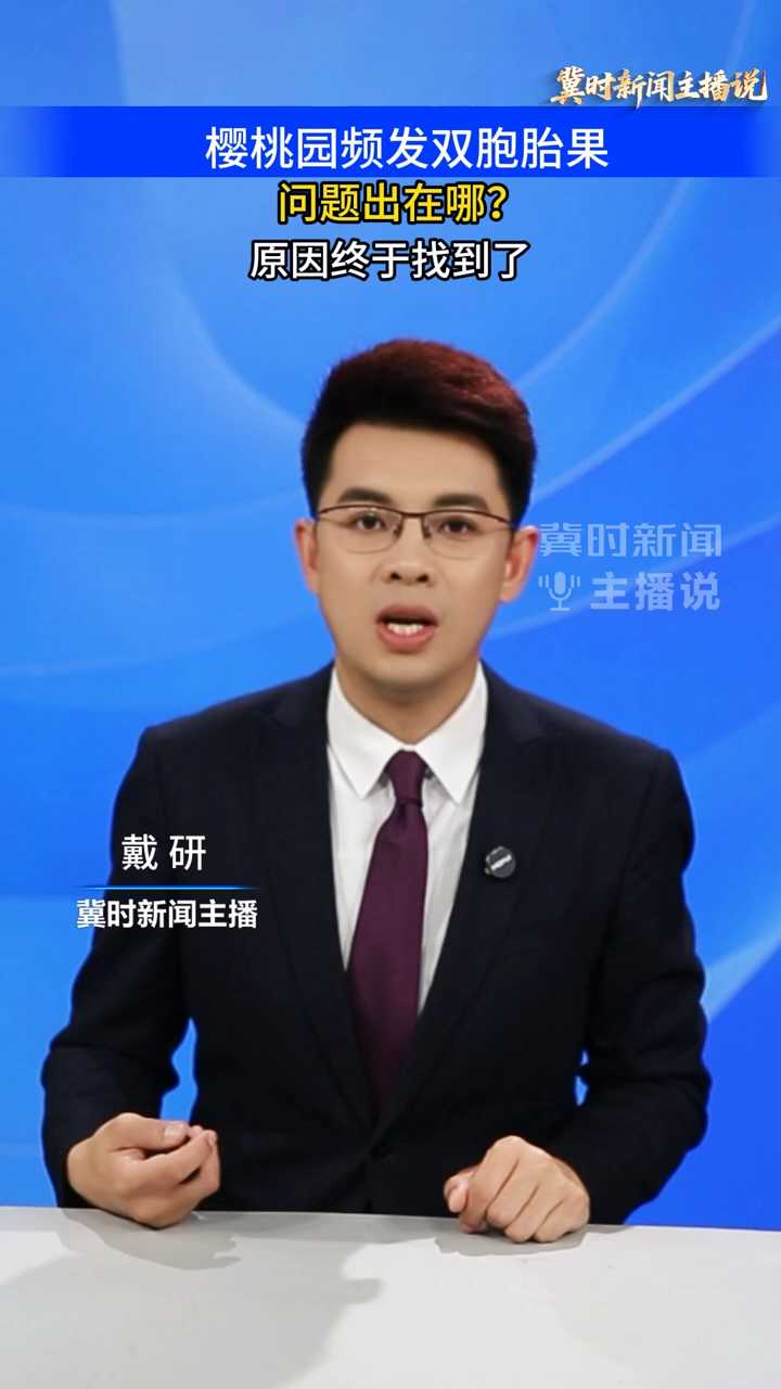 【冀时新闻主播说】樱桃种植户注意：樱桃园频发双胞胎果，问题出在哪？原因终于找到了