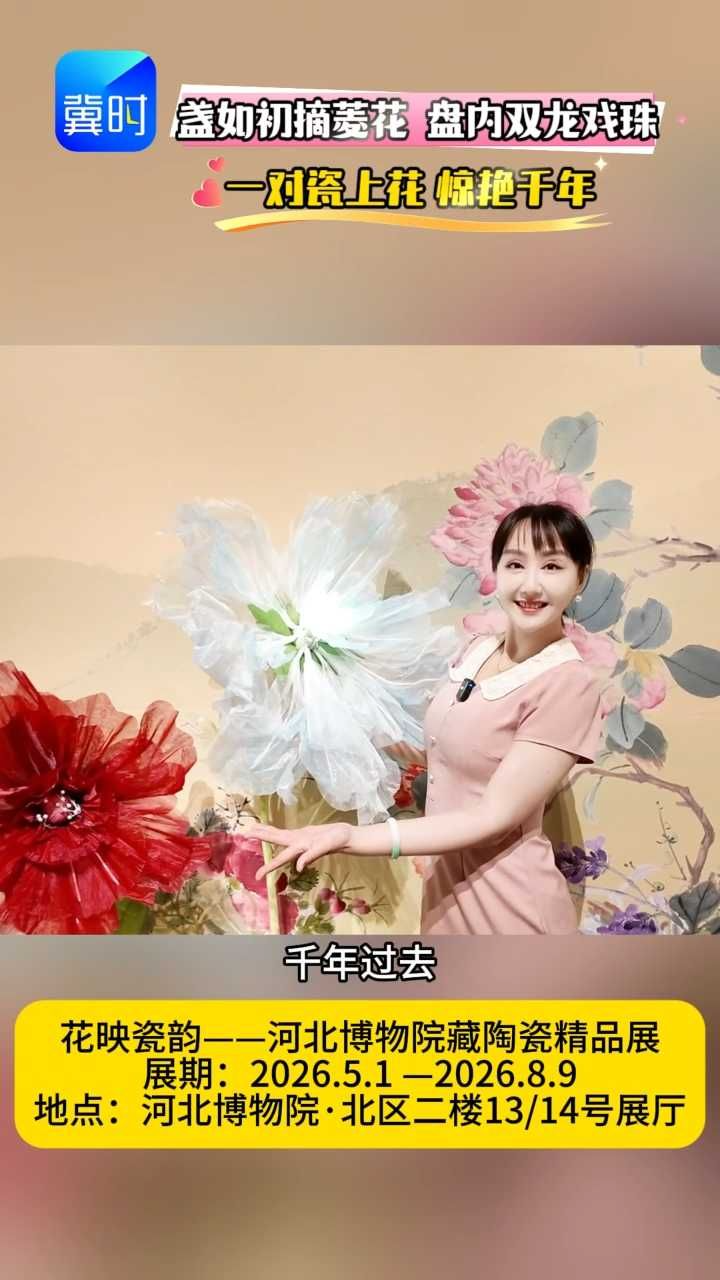 两件珍品，一个窖藏：一次看够两件元代菱花珍品 #河北博物院 #花映瓷韵  #元代瓷器 #看展打卡