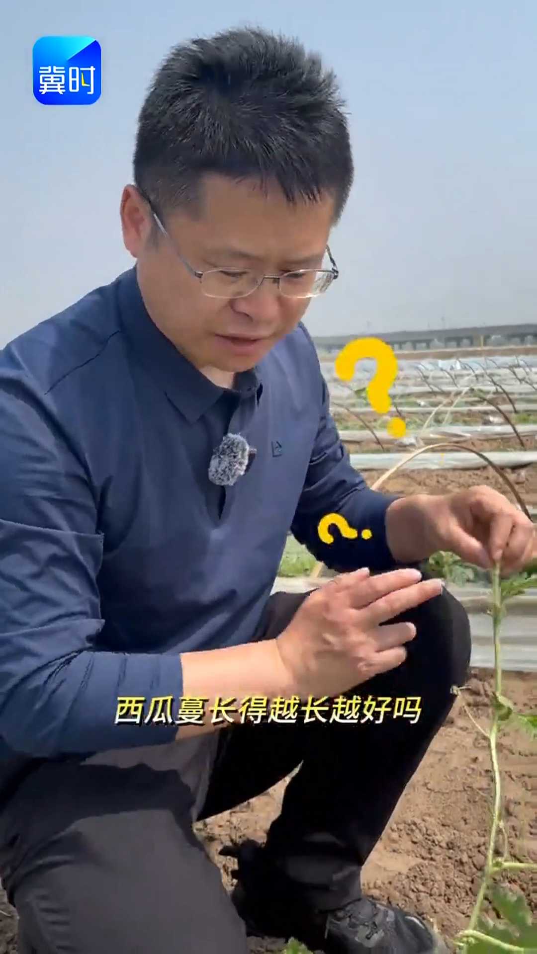 【专家在线】别让瓜蔓疯长！前促后控才靠谱