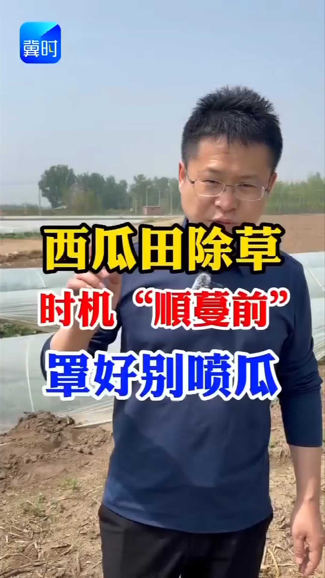 【专家在线】西瓜田除草？时机“顺蔓前”，罩好别喷瓜！