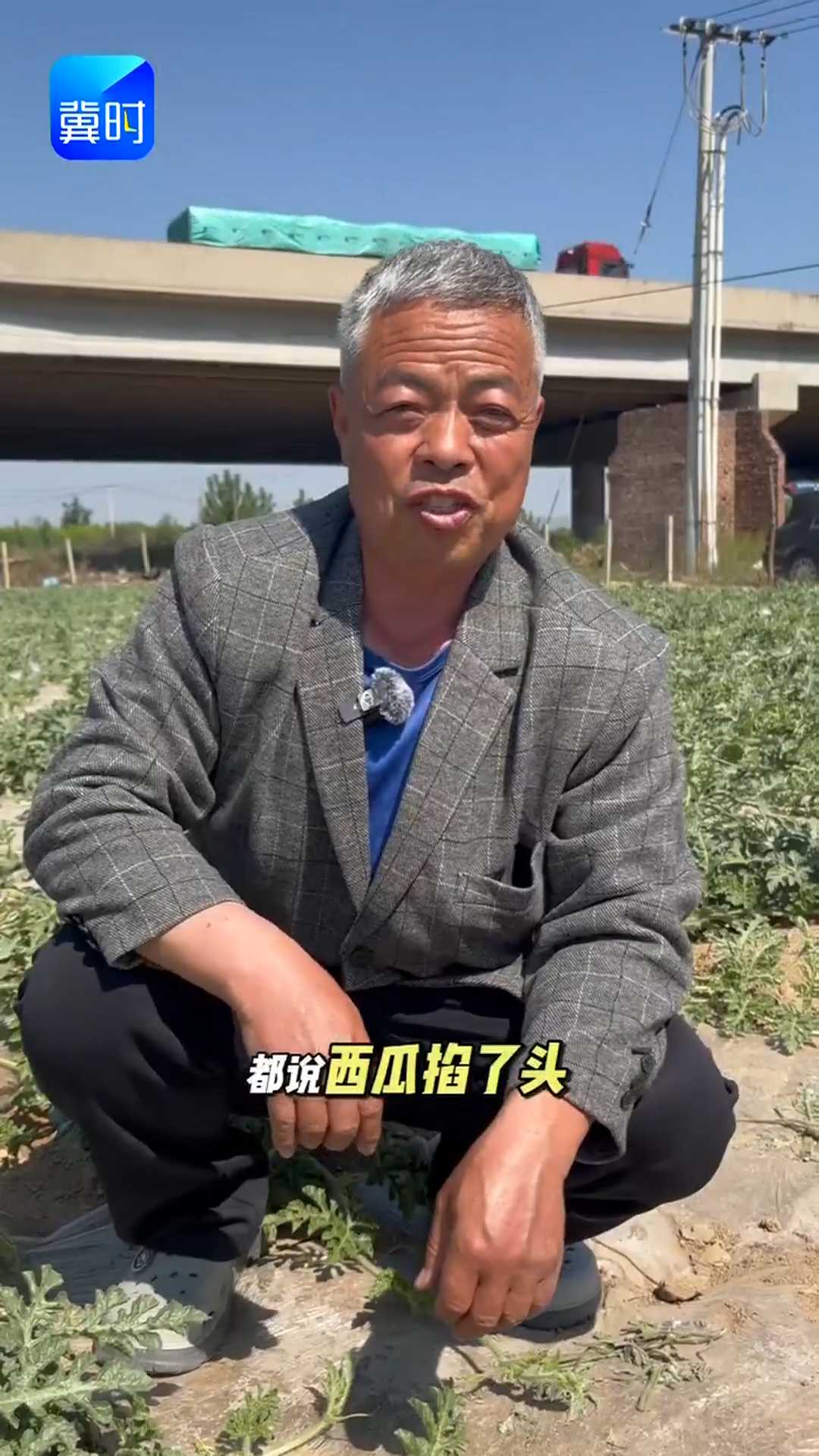 【专家在线】西瓜掐头？住手！西瓜最怕这一下