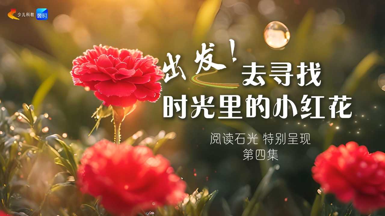【阅读石光】寻找时光里的小红花④| 在行走与阅读中，收获光阴故事里满是温暖的那一朵……