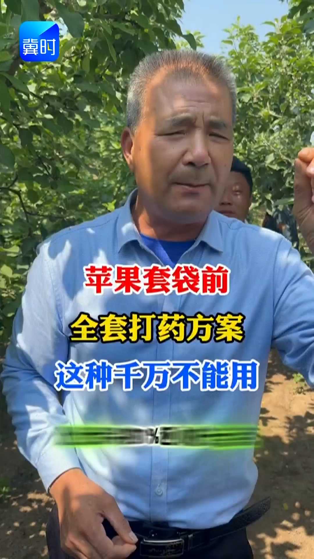 【专家在线】苹果套袋前全套打药方案！这种千万不能用