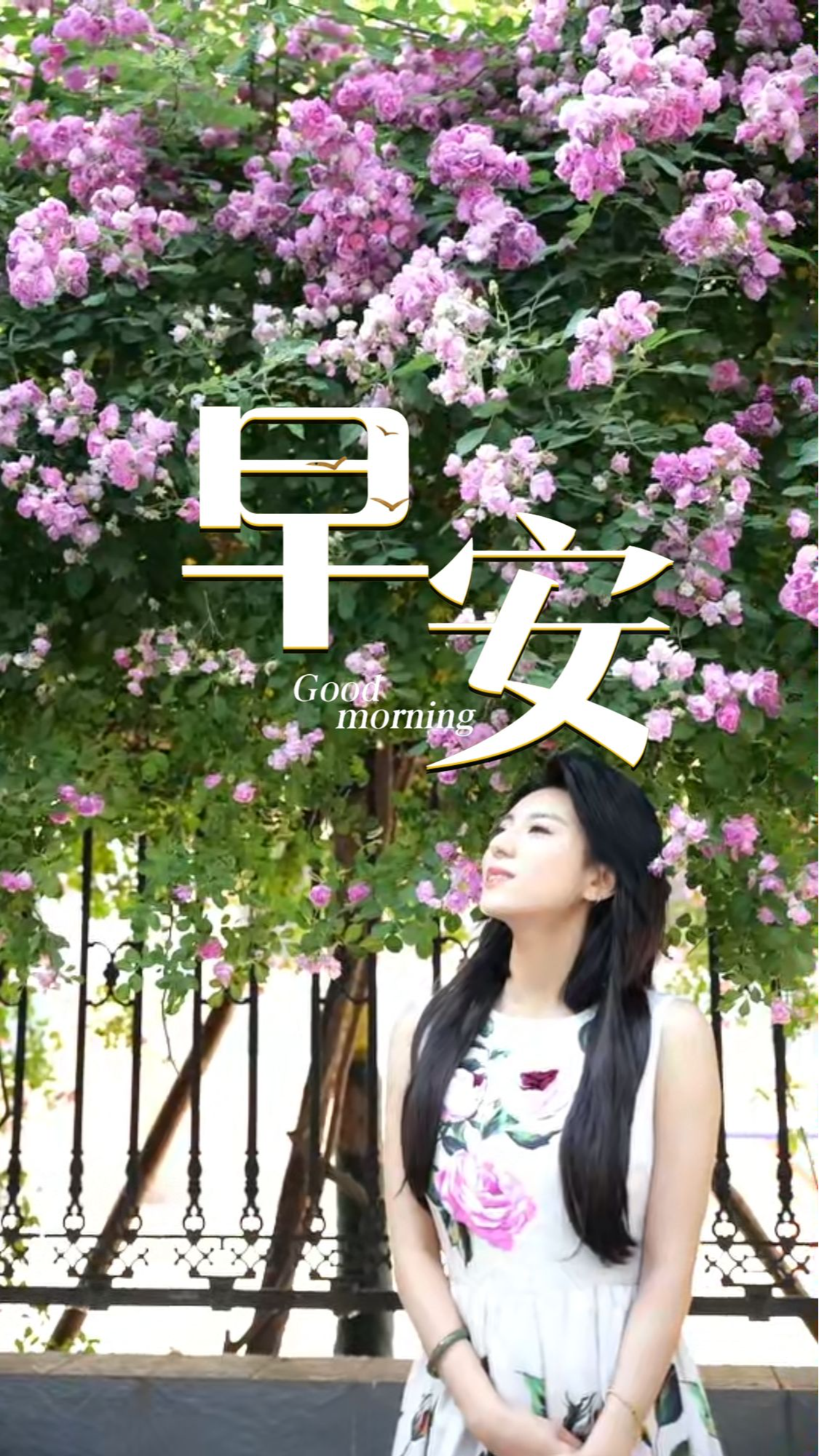 2026年5月20日，早安！人生漫漫，不必急于求成，慢慢生活，静静努力。把情绪归于平和，把心事藏于心底，认真对待每一寸光阴。愿日子清净无忧，前路温暖坦荡！