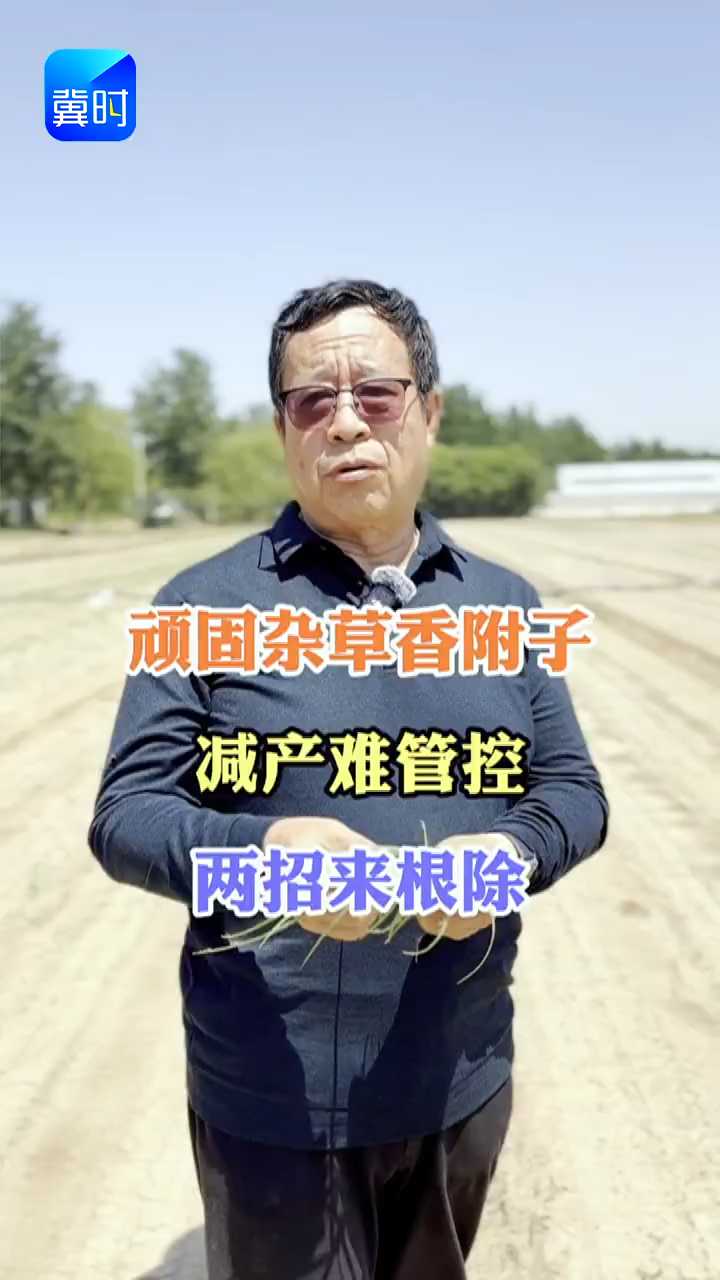 【专家在线】顽固杂草香附子！减产难管控，两招来根除